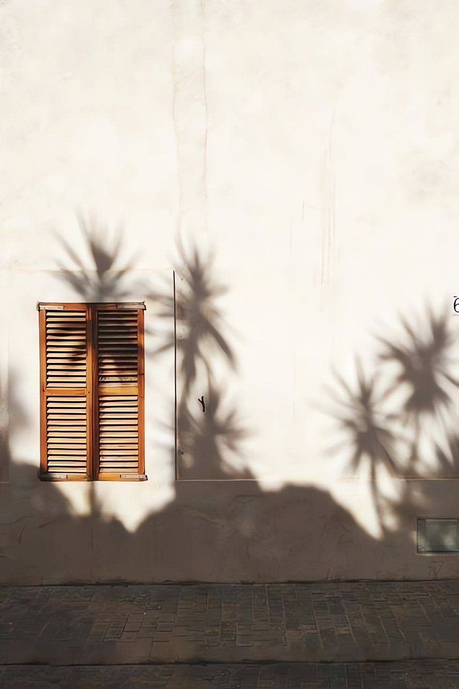 Sombra de palmeras sobre una pared blanca con persianas de madera